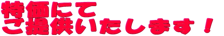 ɂĂ񋟂܂II 